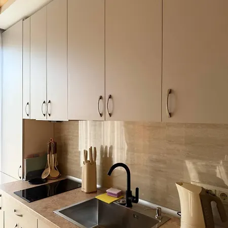 Guest 3* Polyana (Transcarpathia)